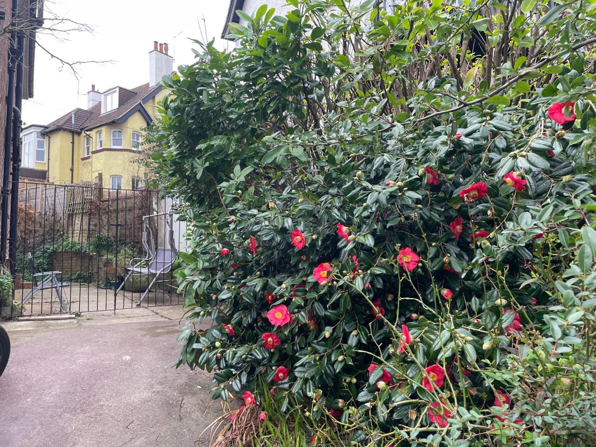Bed and Breakfast Livadia House At St Leonards On Sea Exterior foto